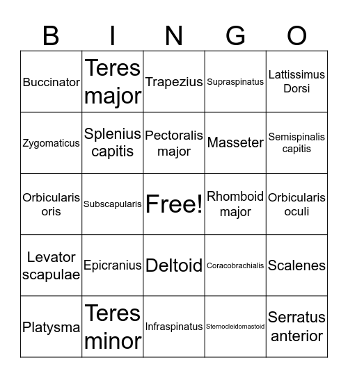 Musco Bingo Card