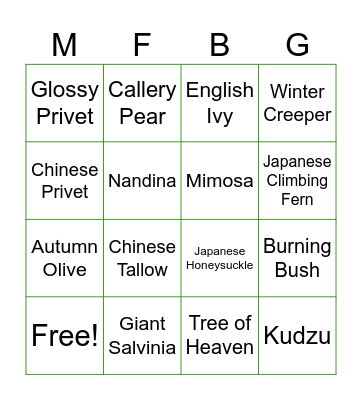 Invasive Plant Bingo Card
