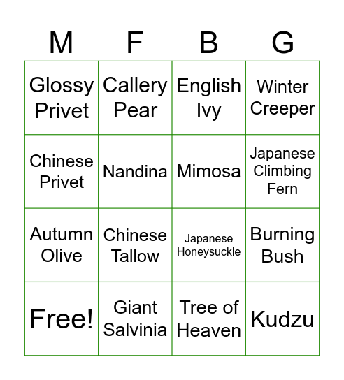 Invasive Plant Bingo Card
