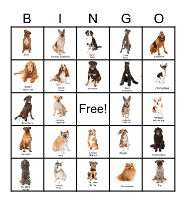 Dog Breed Bingo Card