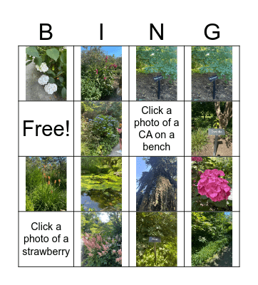 Nature Bingo Card