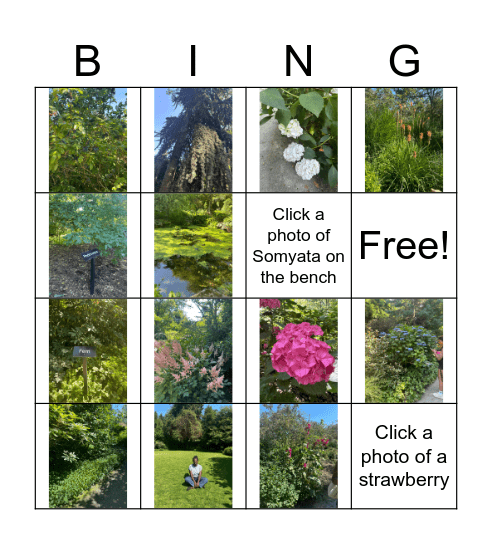 Nature Bingo Card