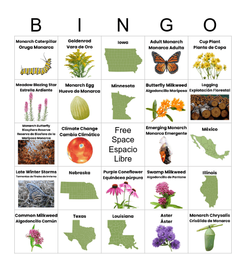 Monarch Bingo - Lotería Monarca Bingo Card