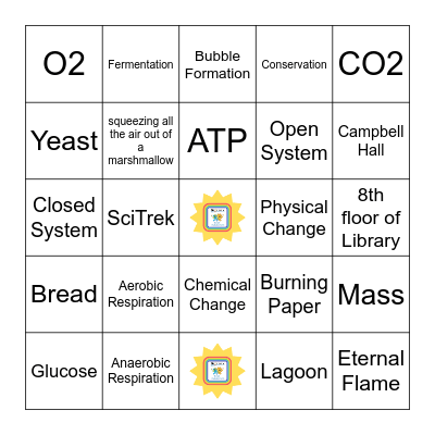 Review BINGO Card