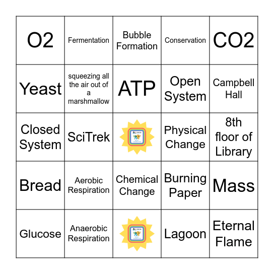 Review BINGO Card