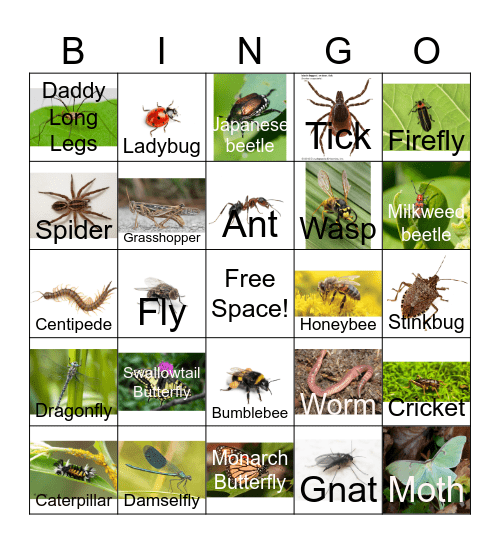 Under the Surface Bingo!! Bingo Card