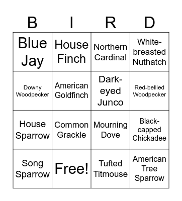 Birdfy Bingo Card