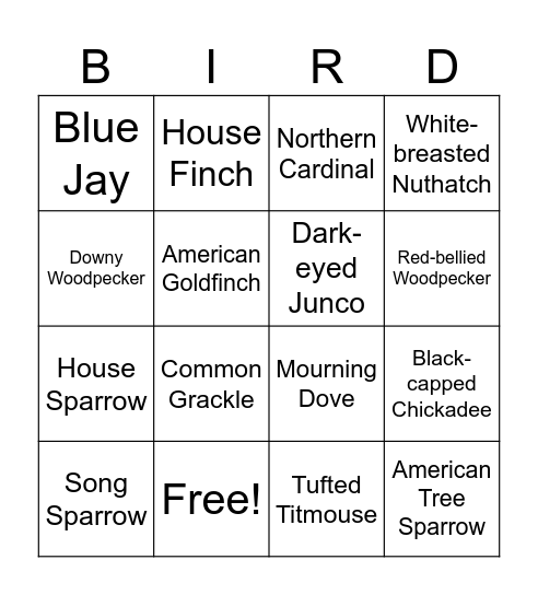 Birdfy Bingo Card