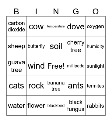 Biotic and Abiotic Factors Bingo Card