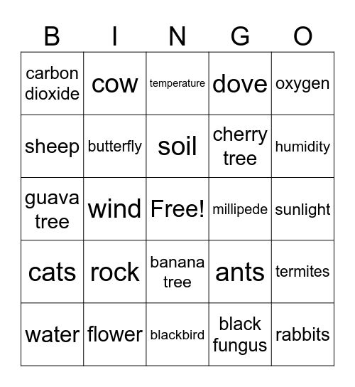 Biotic and Abiotic Factors Bingo Card