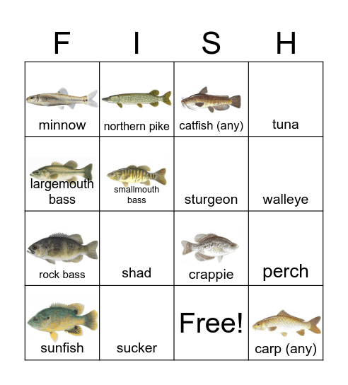 FISH BINGO Card