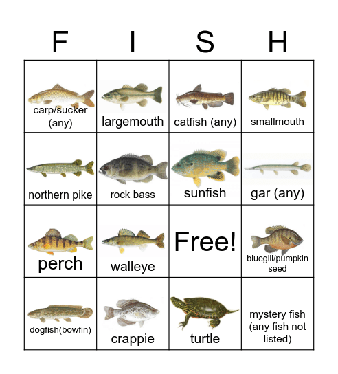 FISH BINGO Card