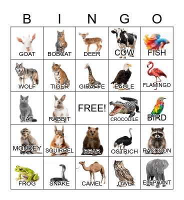 Animals Bingo Card