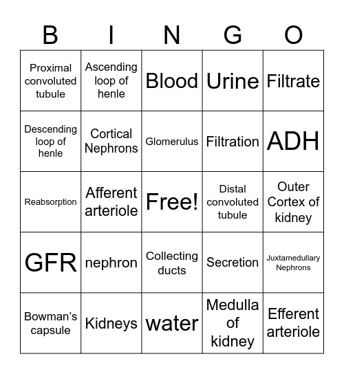 Nephrons Bingo Card