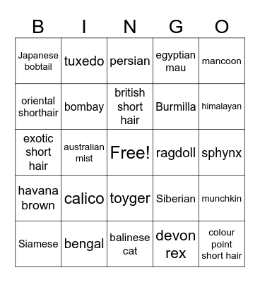 cat breeds Bingo Card