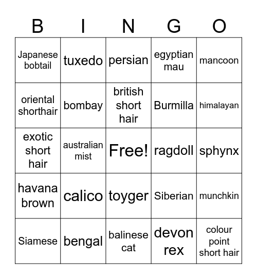 cat breeds Bingo Card