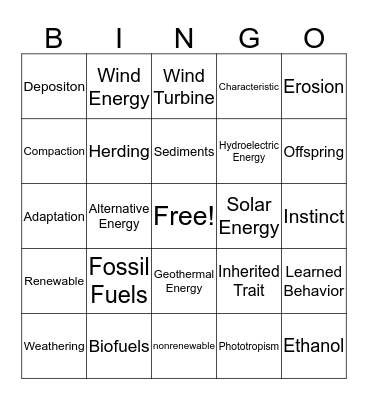 CBA 2 Review Bingo Card