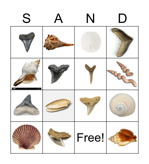 SHARK BAIT OOHAHA Bingo Card