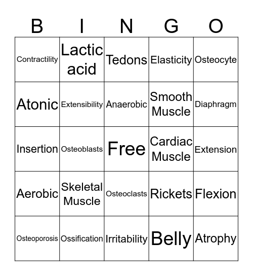 PNE 155 Musculoskeletal System  Bingo Card