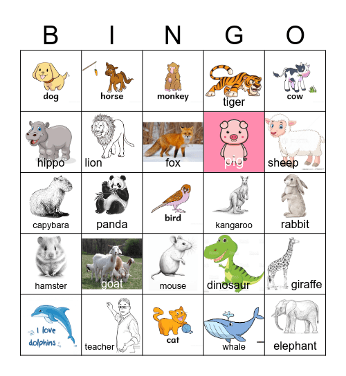 Animal's Bingo! Bingo Card