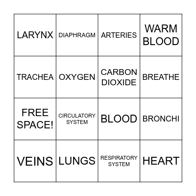 BINGO! Bingo Card