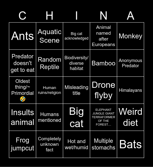 In do china? Bingo Card