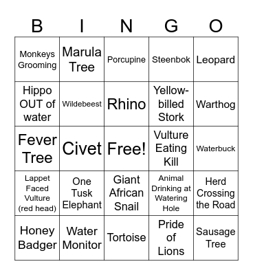 Kruger Bingo Card