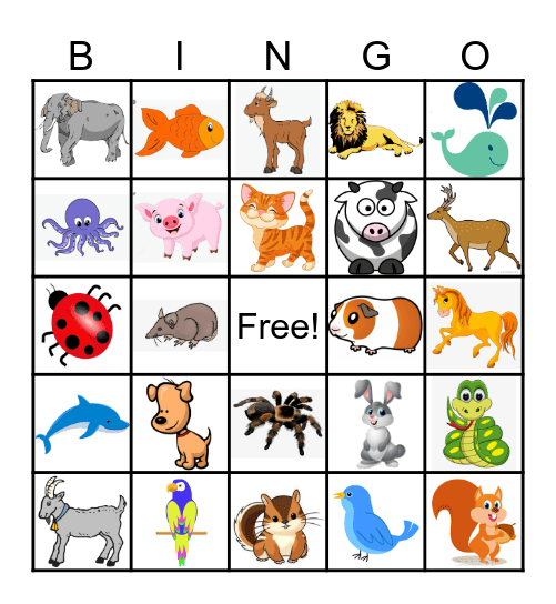 ANIMAL Bingo Card