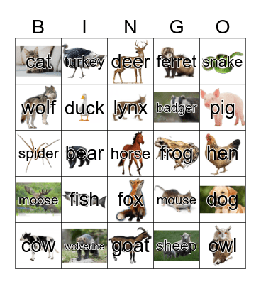 Animals in Finland Bingo Card