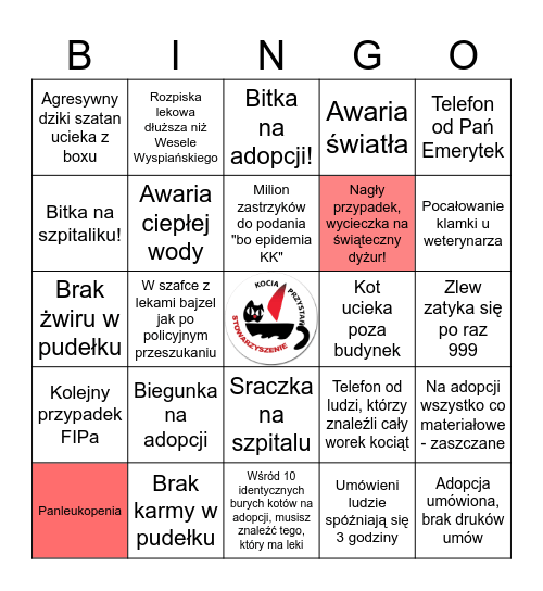 Kociarniane Bingo Card