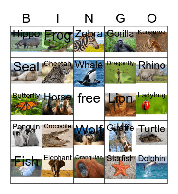 Animals with pictures Bingo Card