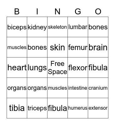 Science Bingo Card