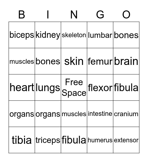 Science Bingo Card