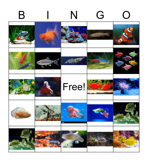 Ornamental Fish Bingo Card