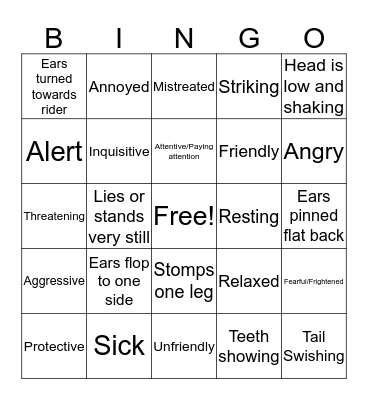 Horse Body Langage Bingo Card