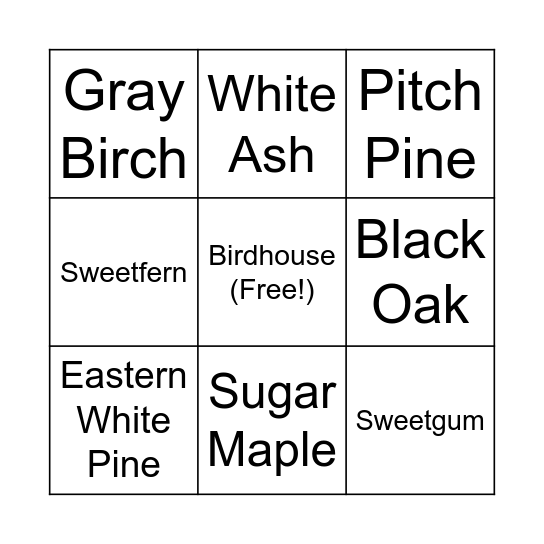 DiPietro Leaf Bingo Card