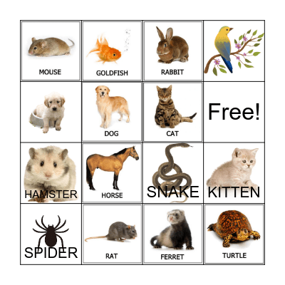 Pets Bingo Card