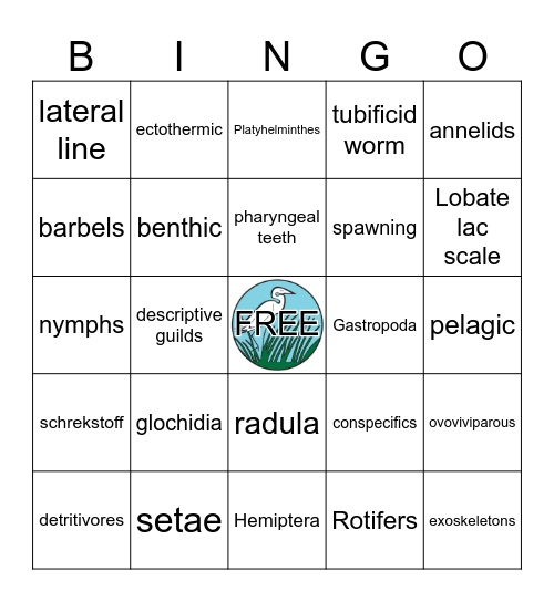 FMNP Freshwater Day 2 Bingo Card
