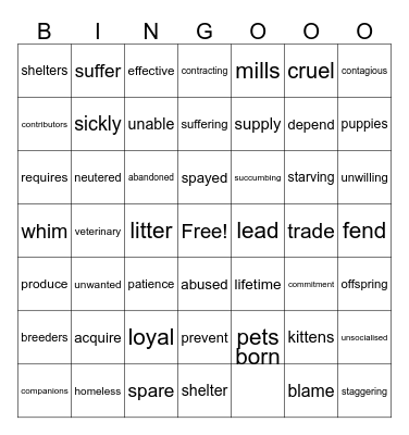 STRAYS Bingo Card