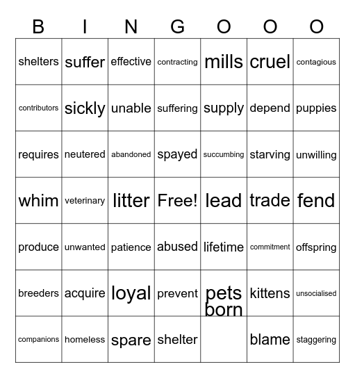STRAYS Bingo Card