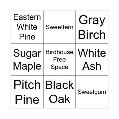 Leaves of DiPietro Bingo Card