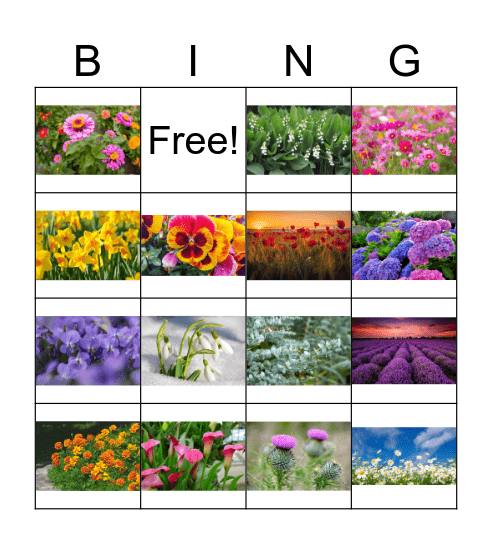 Flower Bingo Card