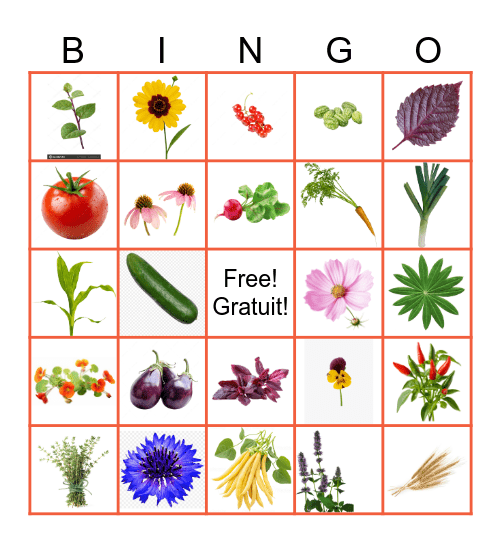 Bingo jardin 2025 Bingo Card