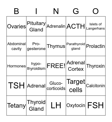 Endocrine System Bingo Card
