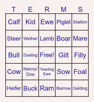 ANIMAL TERMS Bingo Card
