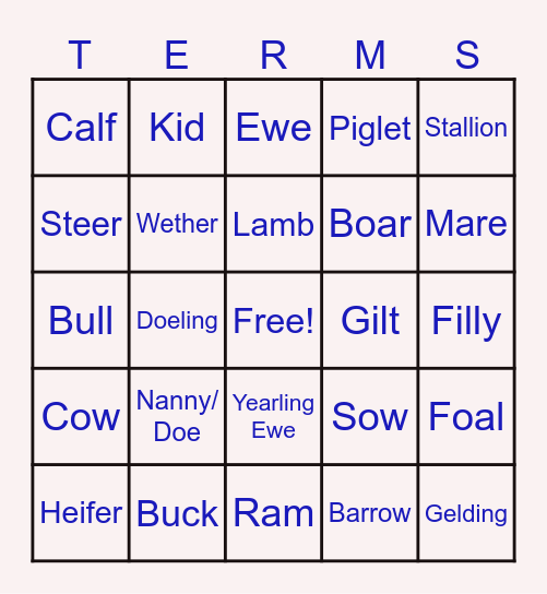 ANIMAL TERMS Bingo Card