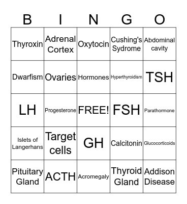 Endocrine System Bingo Card