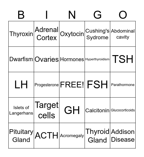 Endocrine System Bingo Card