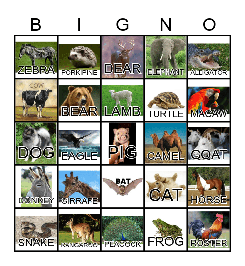 ANIMAL Bingo Card