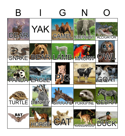 ANIMAL Bingo Card